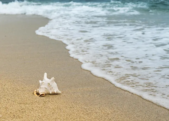 Appartement Vue - 7eme Etage, Proche - Fr-1-652-64 *